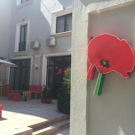 Liqeni Τίρανα