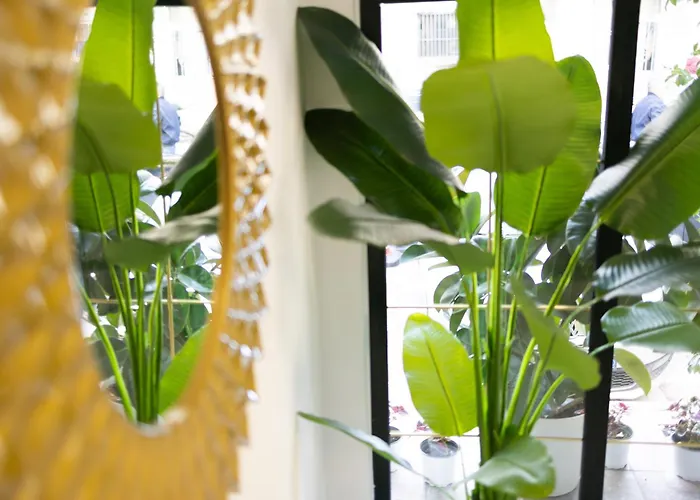 Liqeni Ξενοδοχείο